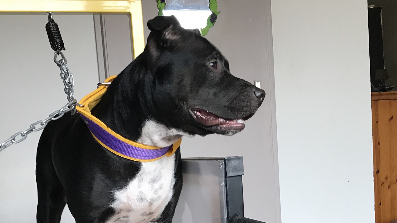 228DB810-2113-4FD0-9FB4-44A4BBF8B725