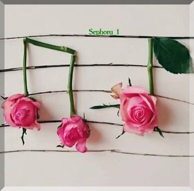 notemusiquerose-Sephora-1