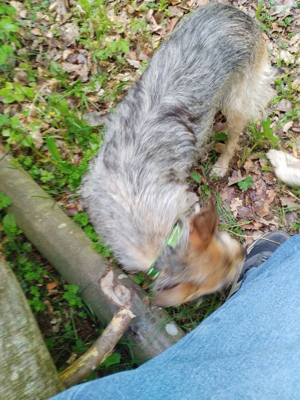 photo 2026 05 15 18 19 48