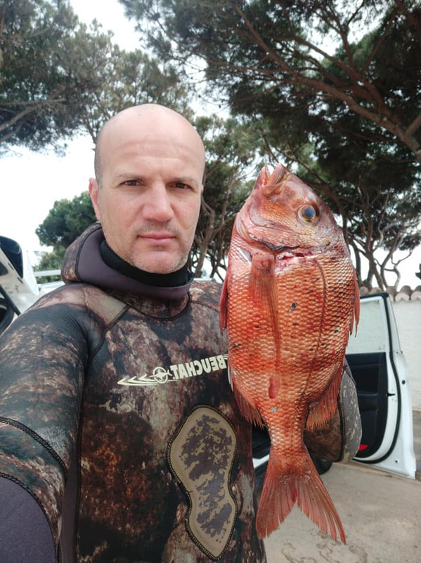 279083560_10225899020518377_931989655343143207_n