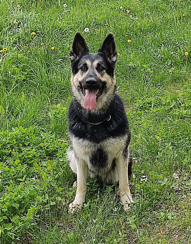 8AooTc9iIIS1JgX2FZe2Tx1wwhhM3Tb35Yn5QiiZk5lTobYx9-T1BrFLm7cr56gKGYDs5n7b_HEILz_gqFfsfVKp