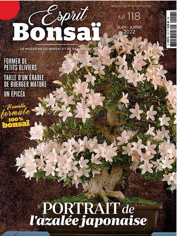 6291b9d893fc1458560724-esprit-bonsai-juin-juillet-2022.jpg