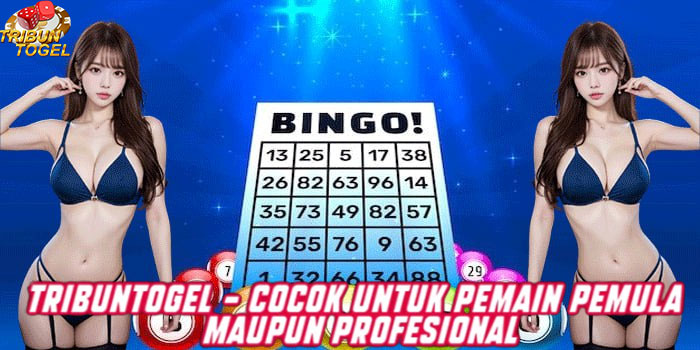 TRIBUNTOGEL - Cocok Untuk Pemain Pemula Maupun Profesional