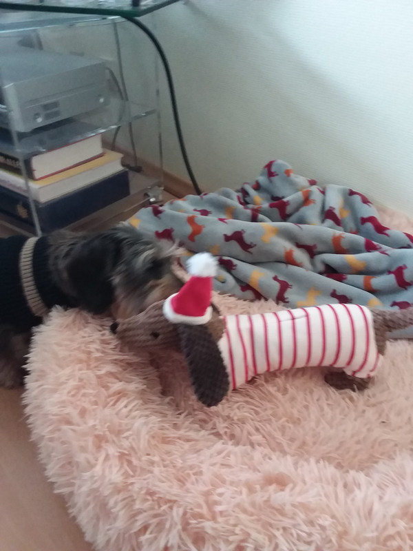 [Image: 20221206-130052.jpg]