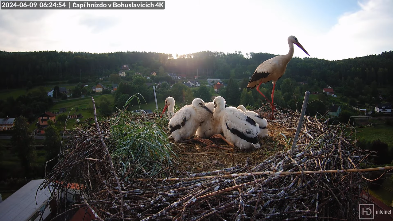 Tiešraidē no uzņēmuma KARA stārķa skursteņa Bohuslavicē pie Trutnovas 7-3-49 screenshot