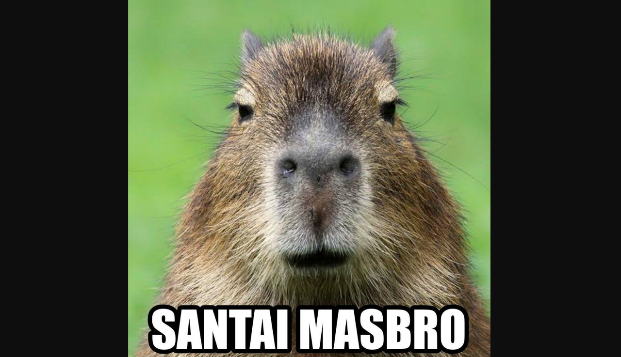 image-45.png