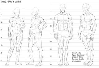 How to Draw Various Body Types and Proportions for Comics