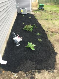 3F5AD2BD-EEE4-46EB-9A06-2A01F04524BB