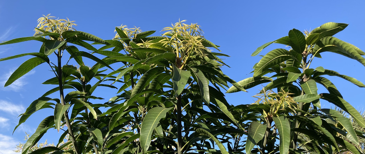 A0AC50D8-6178-4273-94F0-512724A8D01A