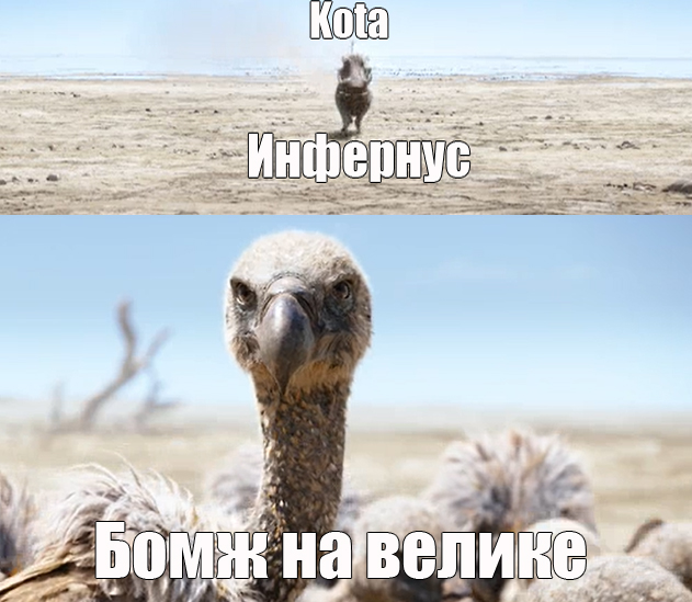 fgfg2222.jpg