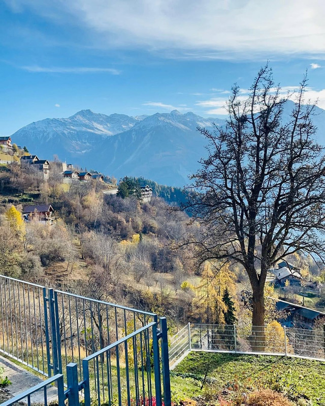 Swiss lake view
