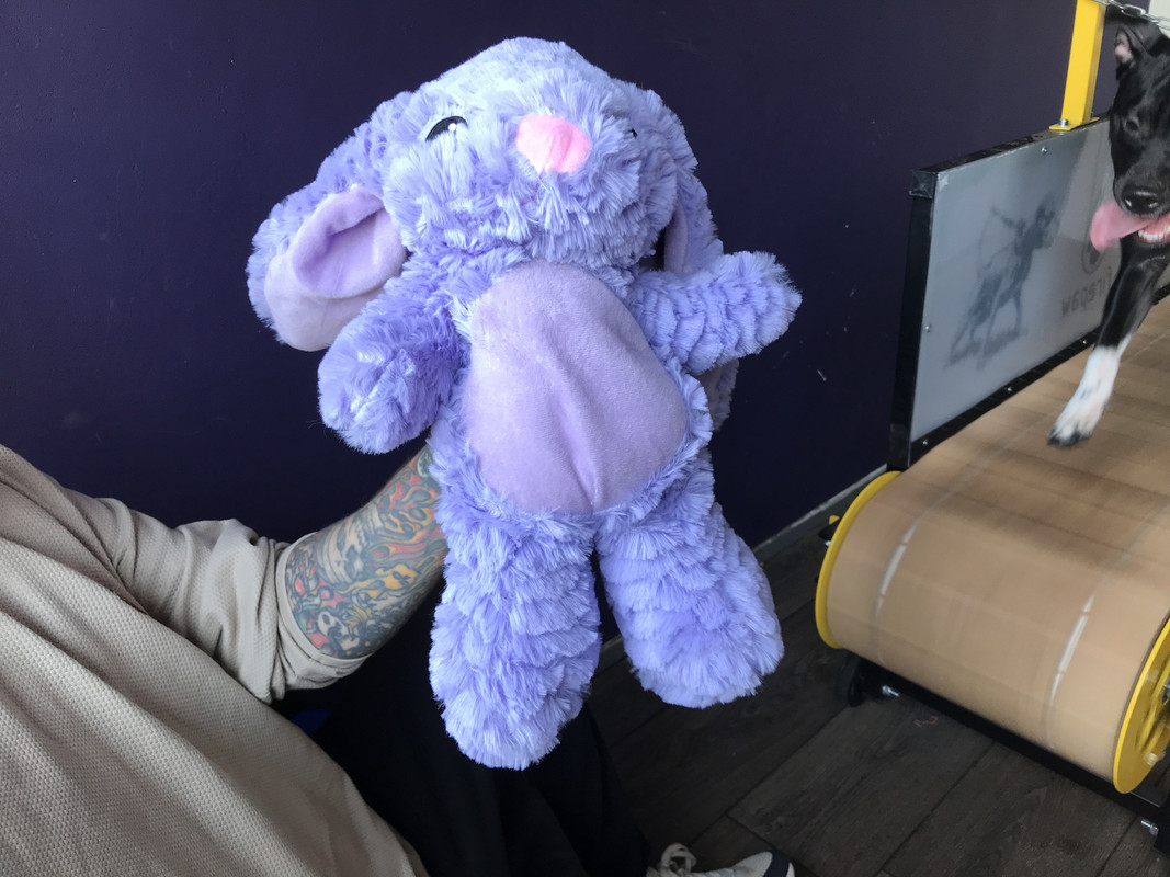 7A3D48B5-E72A-411F-859C-8B06CCD1A20B