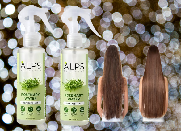 12 removebg preview 2026 03 19T171432 766