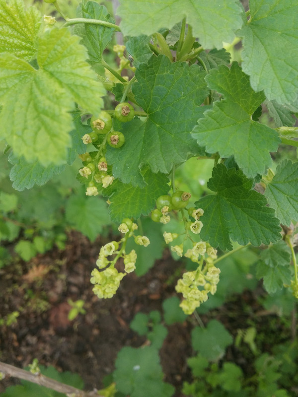 20190416_175203
