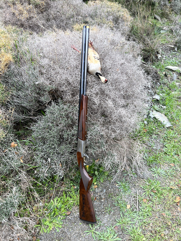 FF964F98-AEA4-4C5E-B137-DDA16FE4FCF2