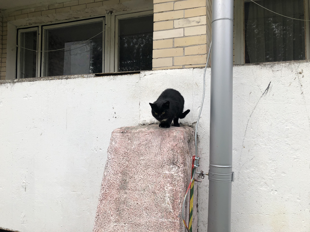 7D33F52A-DE76-4919-AFC6-F2A49E764D80