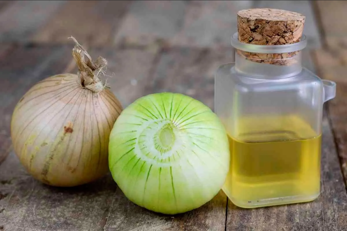 ¿Qué remedio natural es bueno para la tos? Prepara un jarabe de cebolla