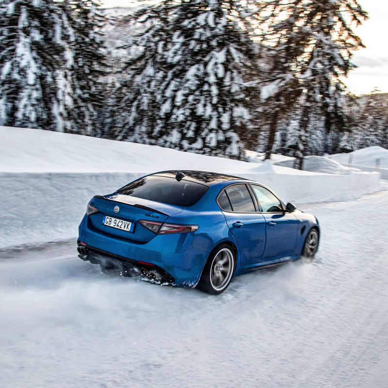 132430033_3123gd45506_o