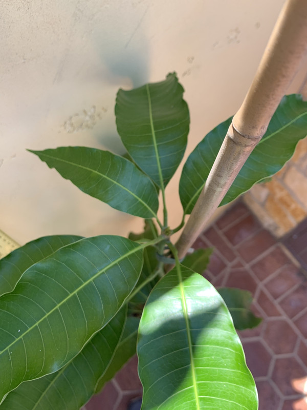 893D8020-DDB7-4DFD-806B-2A8DA06AC5CC