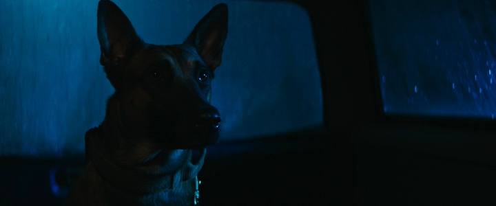 Dog-2022-BRRip-Xvi-D-AC3-EVO-0004.png