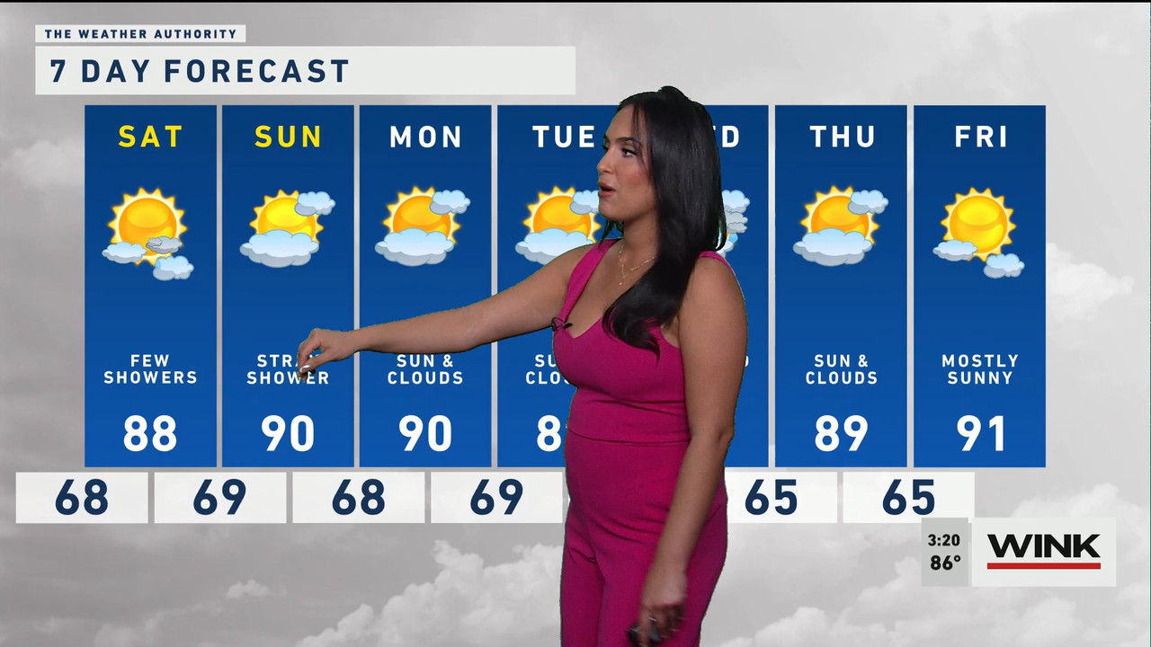 03.24 - 19.00.00 - WINK News at 3pm  ᴺᵉʷ..ts_snapshot_00.21.28.267