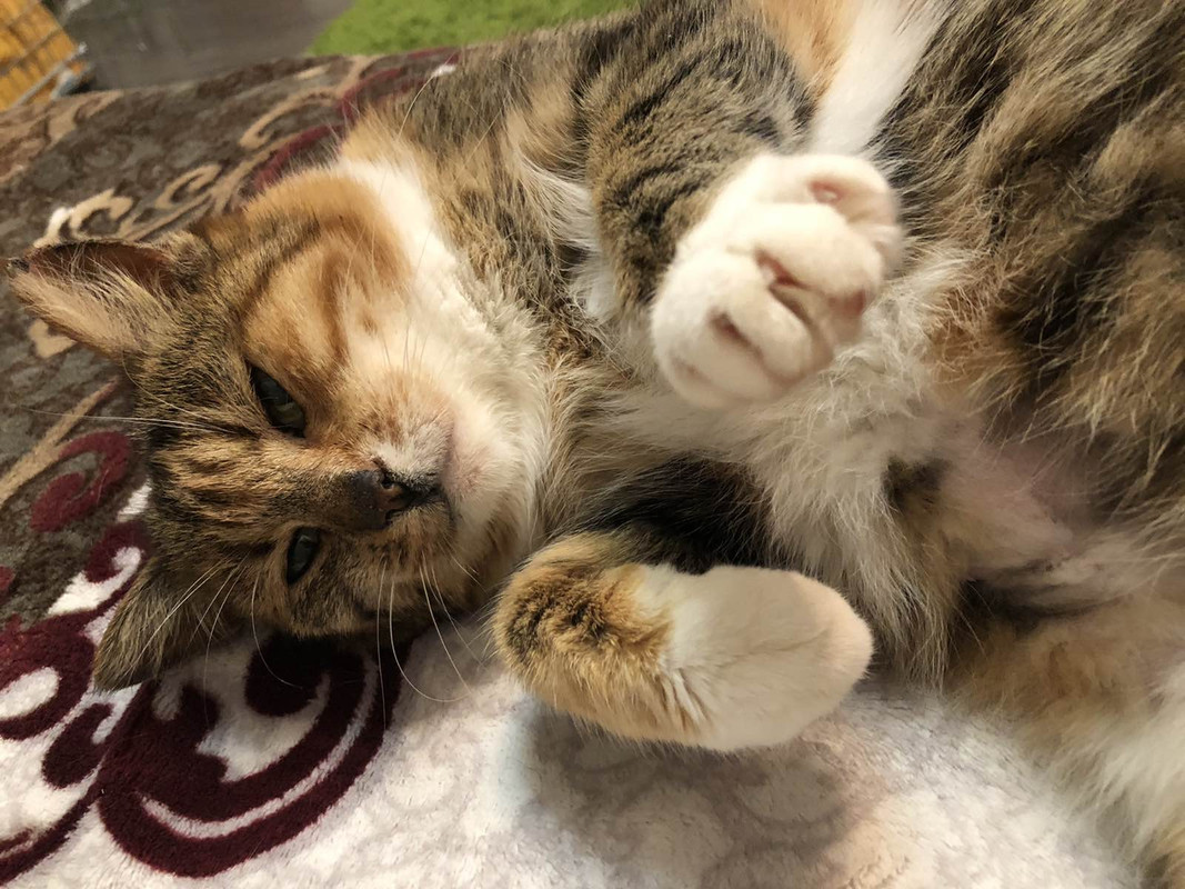 1B03BDC6-6105-4391-9E28-541B4C989065