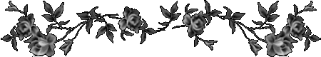 black 144