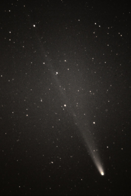 lemmon vert edited small