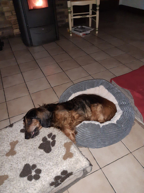 [Image: 20231124-195125.jpg]