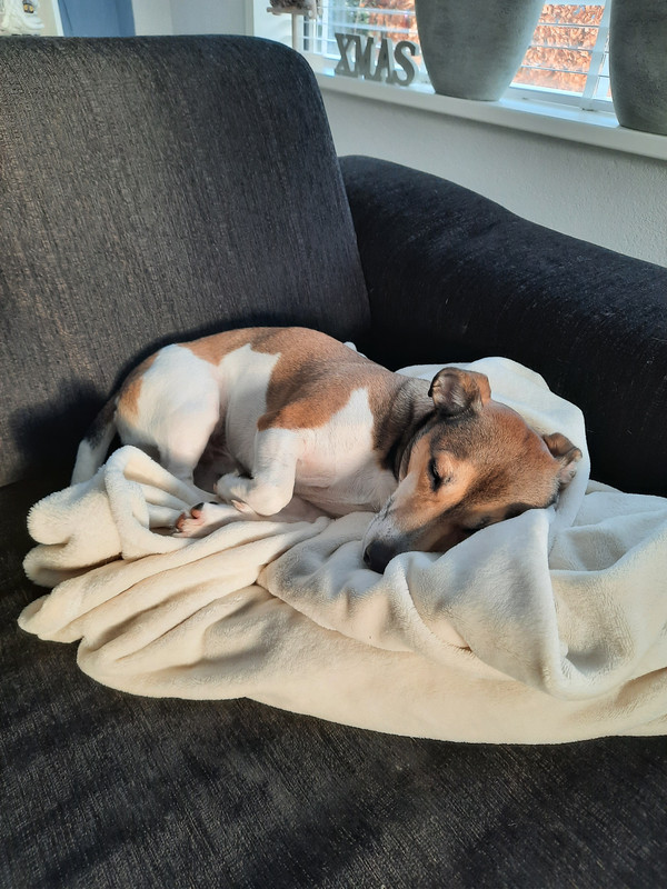 16078665747219167546533450006246