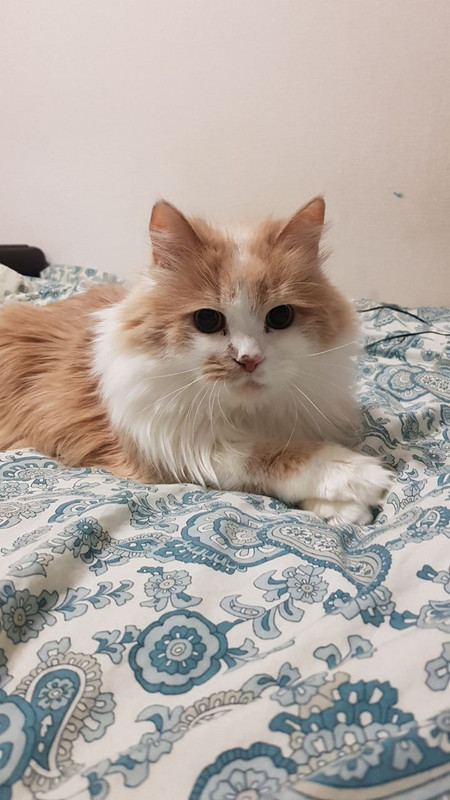 IMG_20220222_134229_876