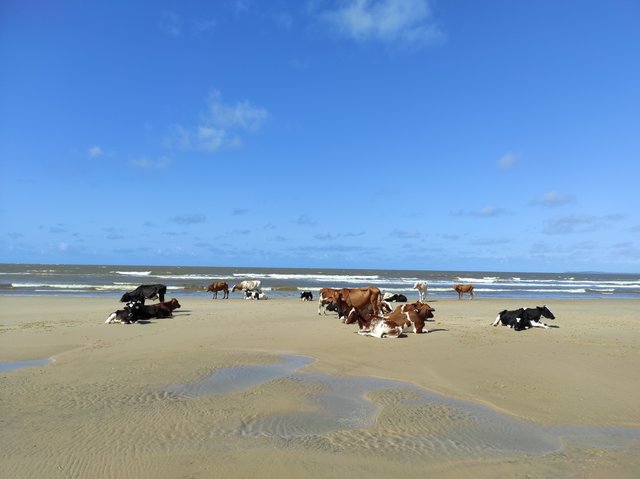 3 días completos en Lamu - 18 días por las tierras más remotas de Uganda y Kenya (5)