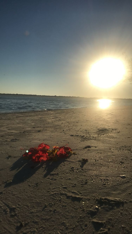 Author Spotlight on Cristal Ortiz, Poet in 'Poems From The Heart' by Radhaa Publishing House