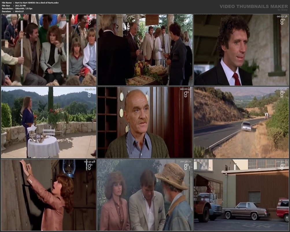 Hart to Hart S04E01 On a Bed of Harts.mkv