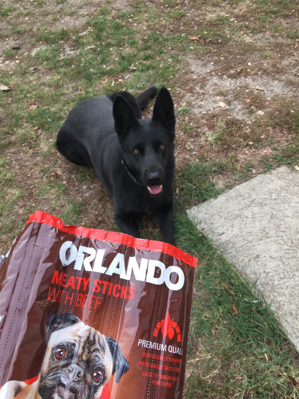 DF7CC44E-E469-450D-A973-1972B00A5E00