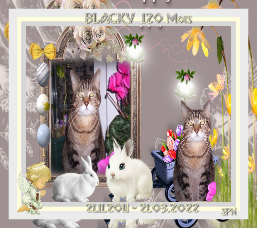 BLACKY-120-MOIS