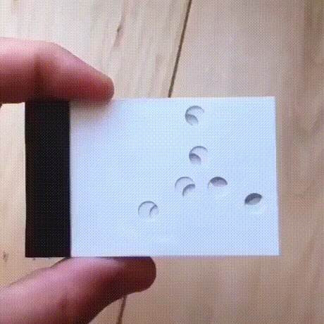 daily-gifdump-3395-11.gif