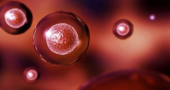 Regenerative Medicine