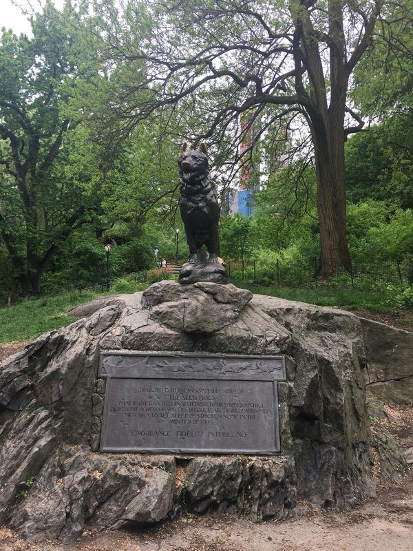 23D5779C-A9F0-400B-8804-F41848AB1336