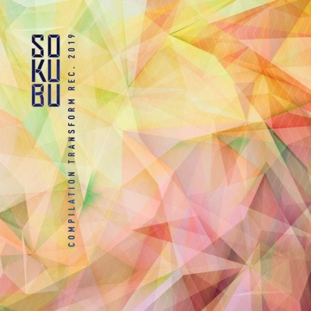 VA - Sokubu Compilation Transform Recordings 2019 (2019)