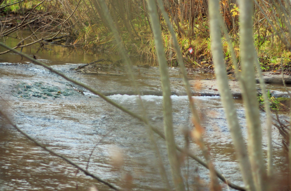 IMG_6615 (2277 x 1496)