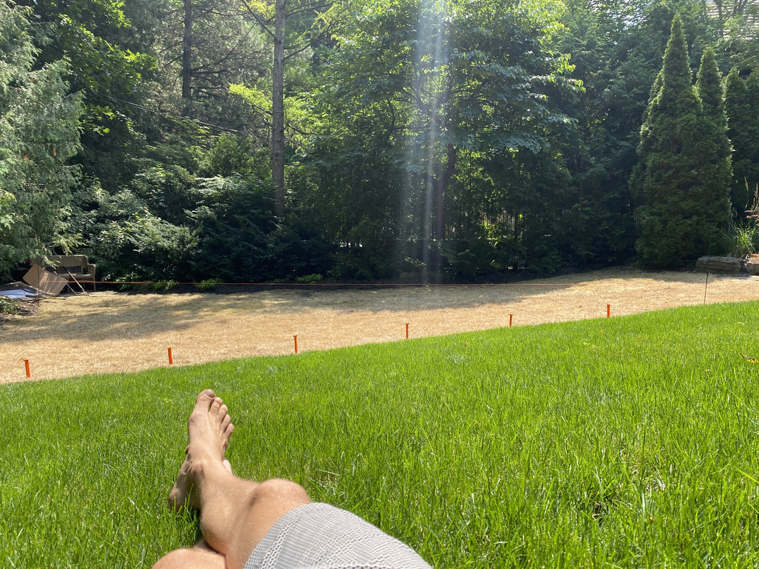 9AC7AADC-2F5F-47D8-977F-3E6E8255640E