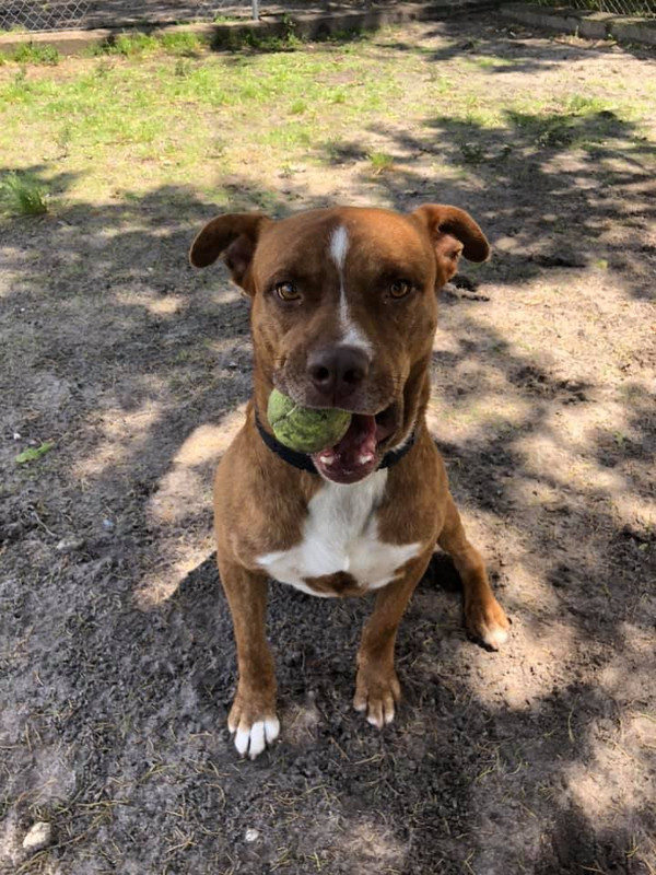 57798892_10218492242962650_4873700717363200000_n