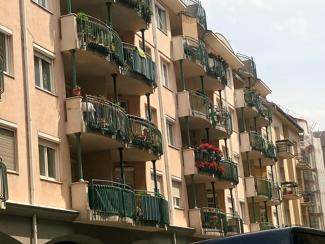 Kép