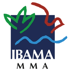 Logo IBAMA