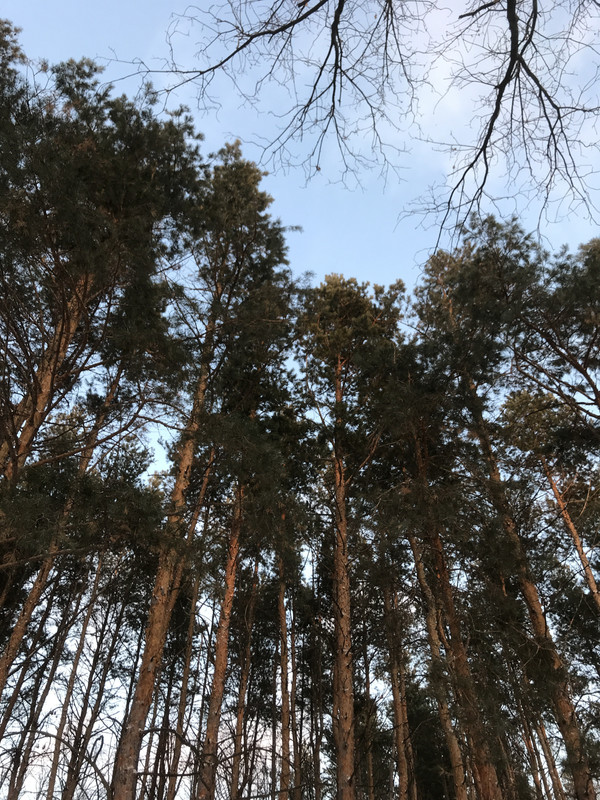 BC8F5B57-994D-4917-9CC4-0CDE8639E0C7