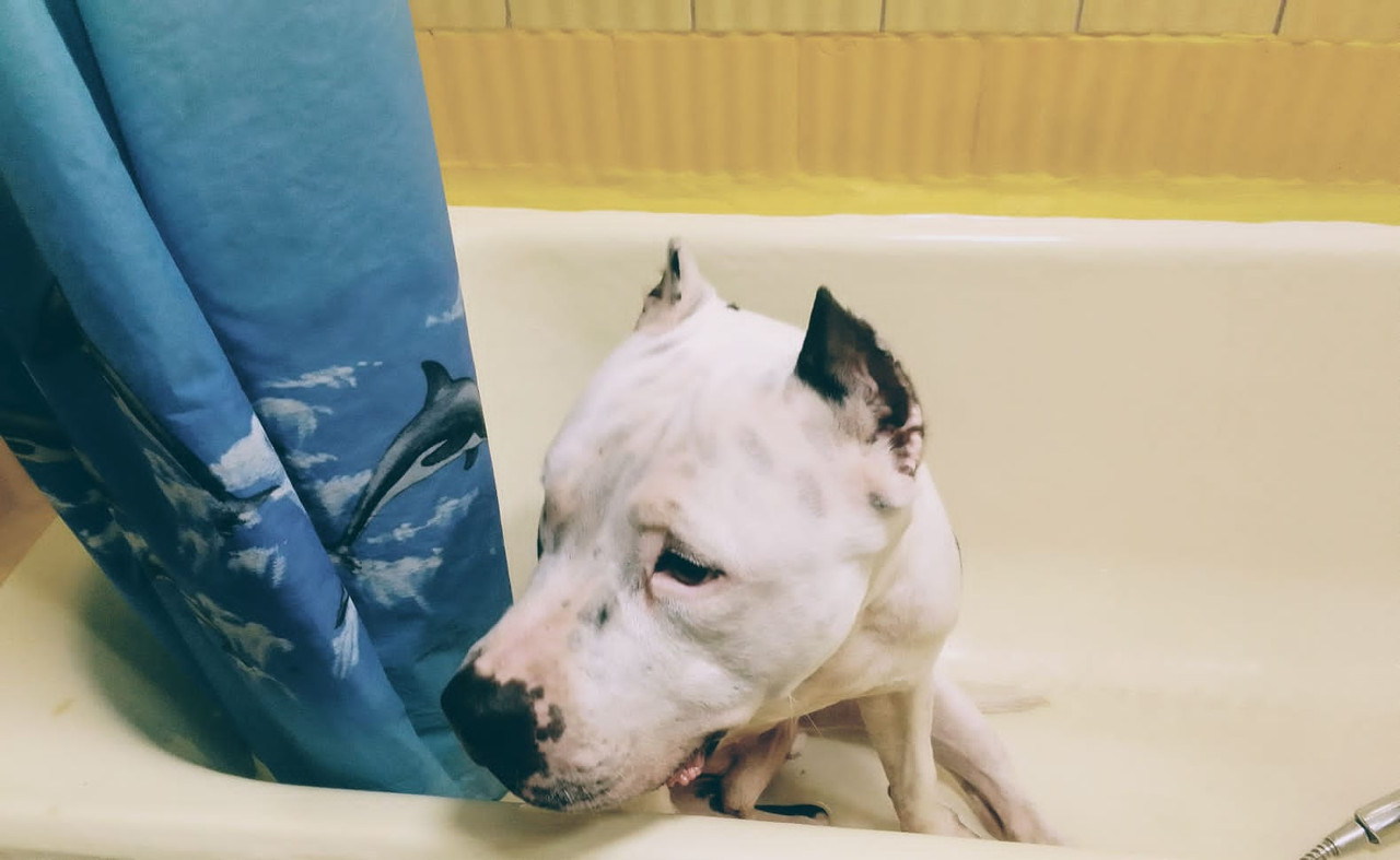 9AC5025D-9EED-4130-8CBF-FEC0A483B2C9