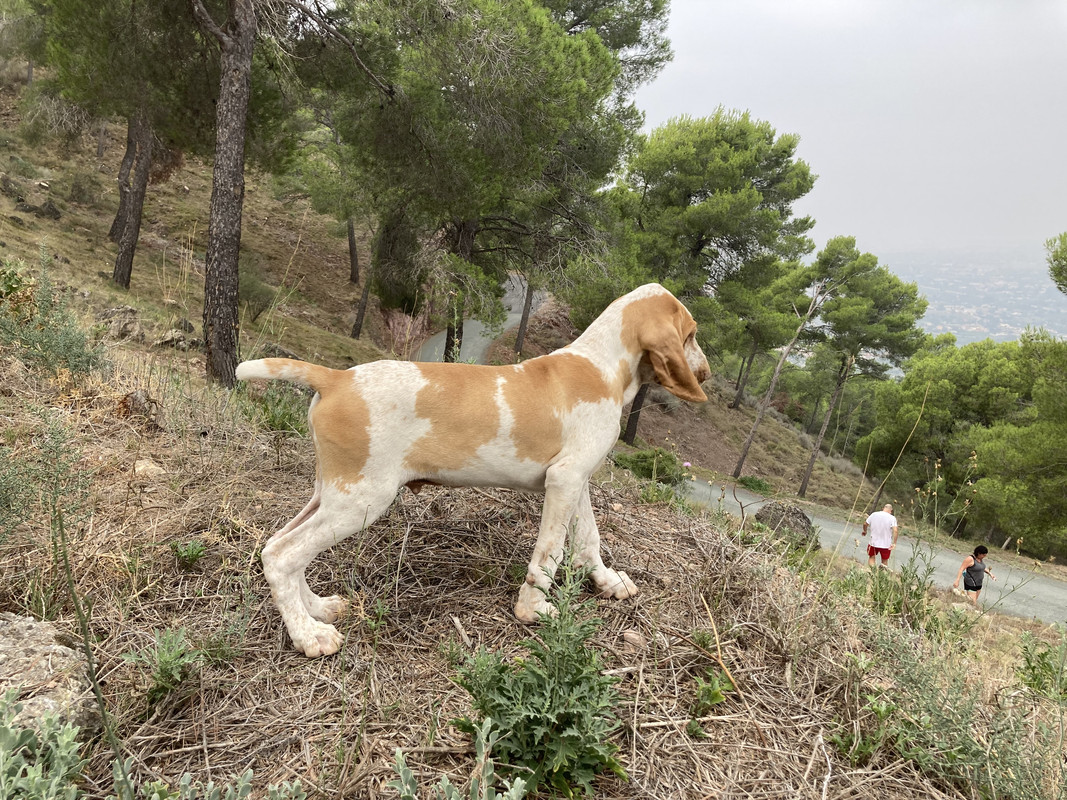 35850B0E-8D7A-4007-B8D5-538229E9EA10