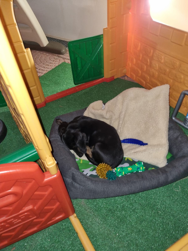 C074FBB6-B7EA-4C5A-B5A4-4C2066384EE0