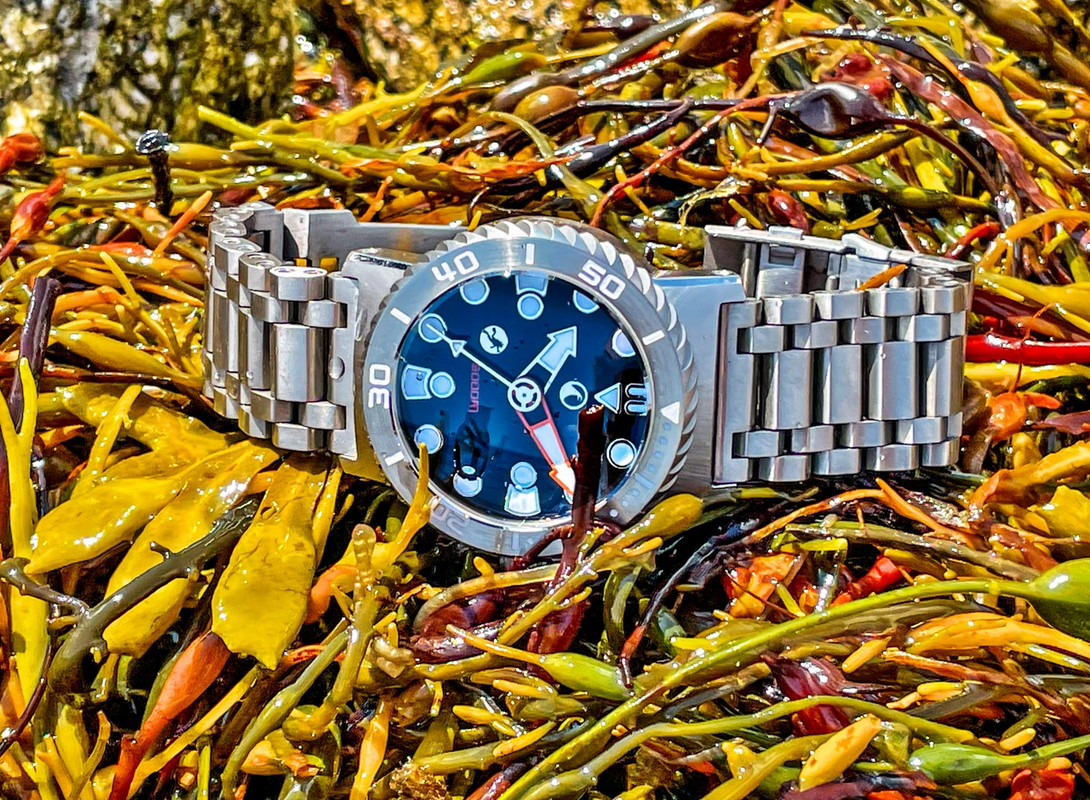 IMG_5272_1 [1600x1200]